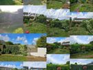 Gardening maintenance & pressure washing services Image 8