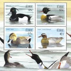 2004 Ireland Fauna & Flora (Native Ducks) Commemorative Stamps Miniature Sheet Mint Never Hinged (MNH)