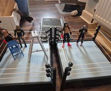 Wrestling rings and wrestlers