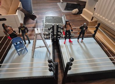 Wrestling rings and wrestlers