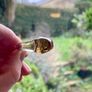 Vintage Cola Colour (Yellow Brown) Glass Chunky Ring Image 6