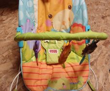 Baby bouncer