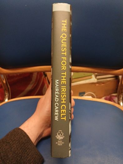 The Quest for the Irish Celt - Mairead Carew