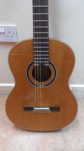 Ortega Electro-Classical Guitar (RE159RWSN)