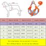 No Pull Pet Dog Harness and Leash Set Adjustable Puppy Cat Harness Vest Reflective Walking Lead Leash For Small Dogs Chihuahua Image 2