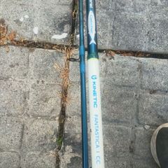 Sea fishing rod