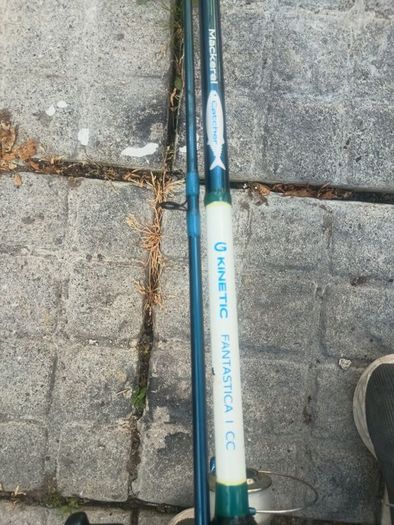 Sea fishing rod