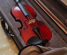 1/2 size Eastman Westbury violin