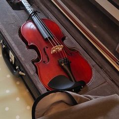 1/2 size Eastman Westbury violin