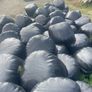 Second cut silage Image 2