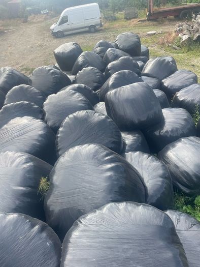 Second cut silage