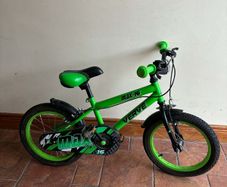 kids bike 16"