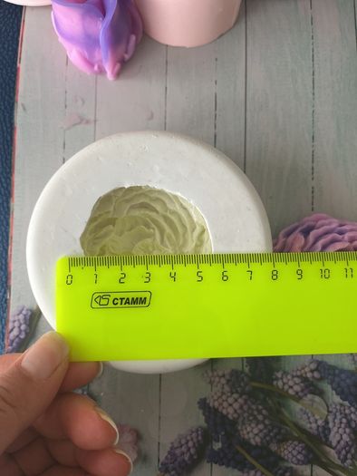 soap mold
