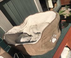 Small pet bed