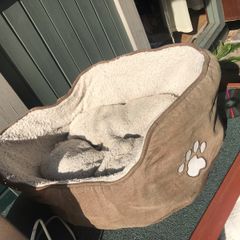 Small pet bed