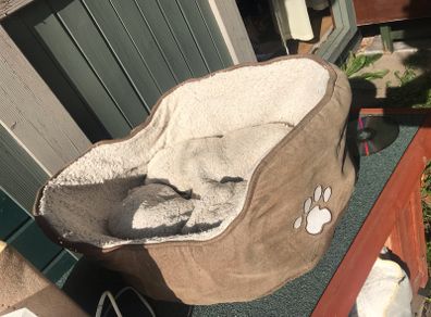 Small pet bed