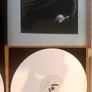 Marilyn Manson Deluxe Vinyl boxset The Pale Emperor Image 7
