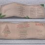 Winter/Christmas Trifold Invitations Image 2