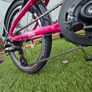 Frog bike Image 3