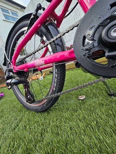 Frog bike