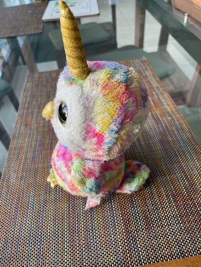 Multi coloured owl  beanie