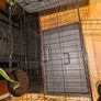 Large dog crate Image 4