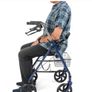 mobility walker Image 7