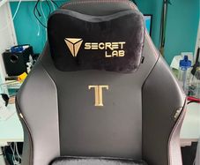 New Secretlab Magnetic Memory Foam Head Pillow, Lucan