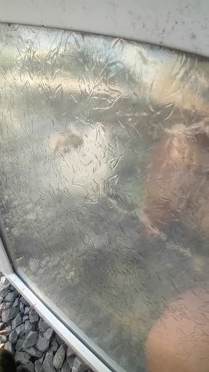 bathroom window