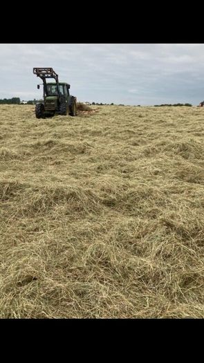 Hay for sale