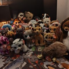 TY Teddy's