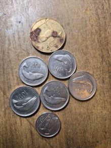 Irish Coins