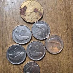 Irish Coins