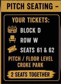2  Katie Taylor Tickets pitch Seating