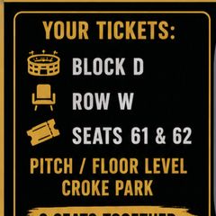 2  Katie Taylor Tickets pitch Seating