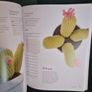 Crocheted Succulents : Cacti & Other Succulent Projects to Make Image 7