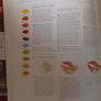 The Water Colour Flower Painter A-Z Book Image 9
