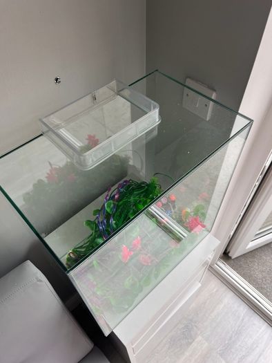 Complete 40L Aquarium Bundle + Wall-Mount Tank & Accessories