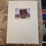 Mick O'dea Paintings 2001 Catalogue. First Edition Large Volume Paperback In Very Good Condition. Image 5