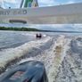 6.4 meter rib with Suzuki 175 Image 5