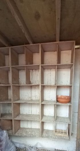 Pigeon loft