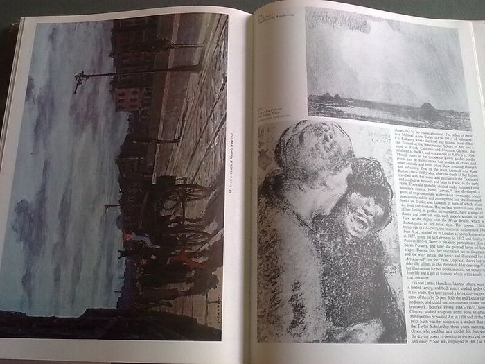 The Painters of Ireland c.1660-1920 Irish History Art