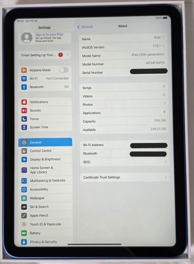 iPad 10th Gen 256GB WiFi Blue MINT 1st Battery Cycle