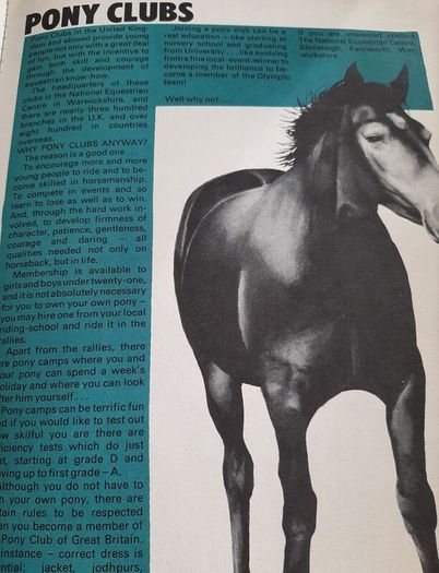 Follyfoot annual vintage1977