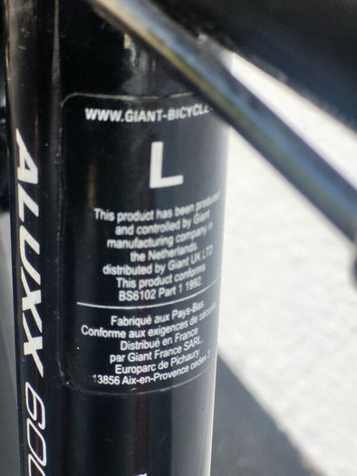 Giant Rock Large Bike