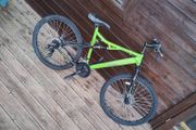 Mountain Bike for an adult in a large frame
