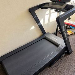 Nordic Treadmill