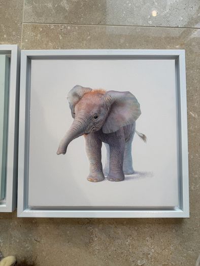 Animal themed bedroom accessories