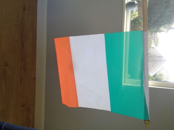 Irish Flag for Sale