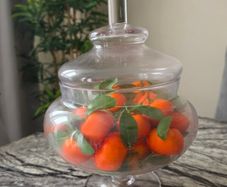 Apothecary jar Large with decorative mandarins